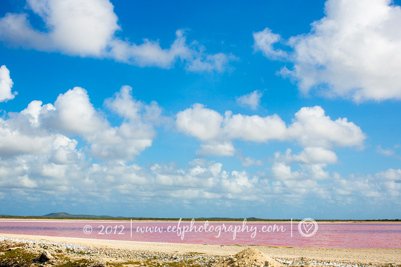 Amazing pink water at the saltpans, Sorobonne beach, jibe city, Bonaire beach Eef Ouwehand Commerciele fotografie