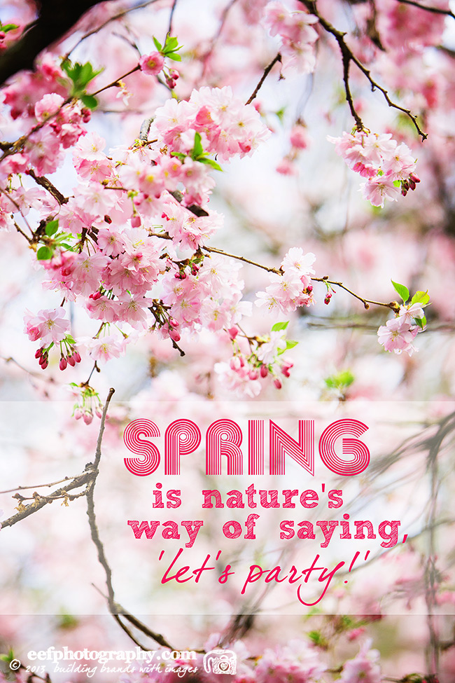 Inspiratie quote, spring is natures way of saying let's party!